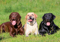 banner1-21 Home Version 4